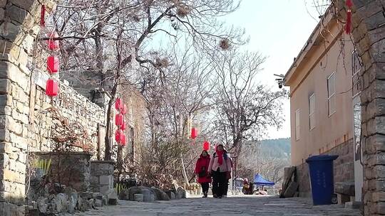 山东肥城市五埠岭村新春新景象