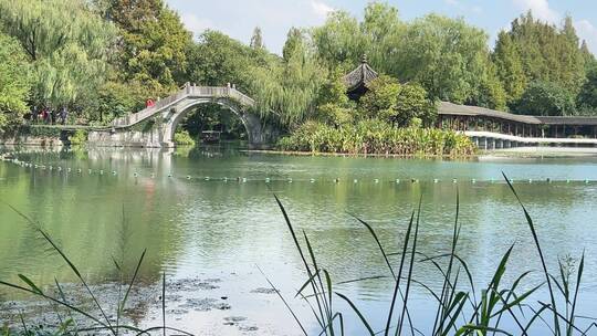 4k 杭州西湖园林山水风景
