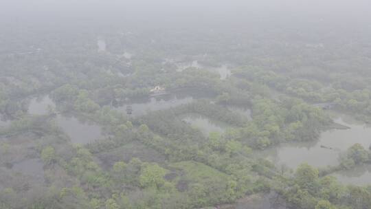 西溪湿地