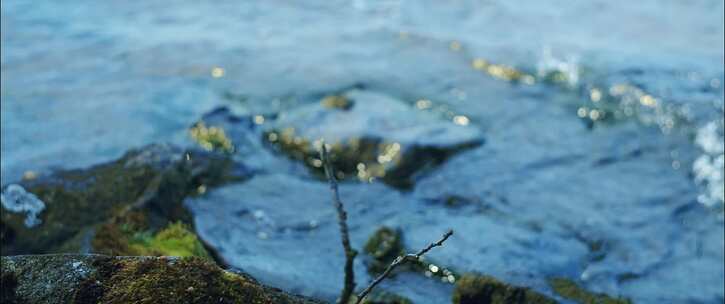 水，湖，海岸，研磨