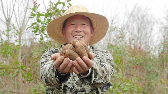 富硒新鲜天麻