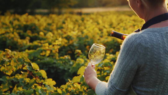 女人把葡萄酒倒入玻璃杯