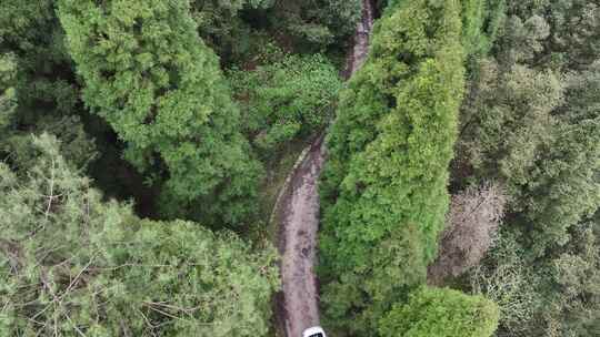 平坝区国营大坡林场航拍