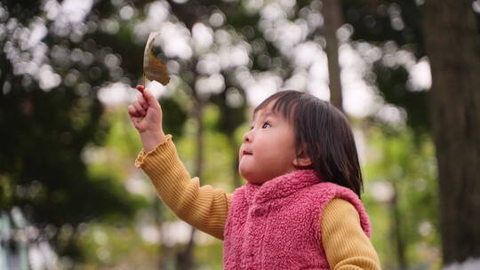 小女孩在公园树林举起一片秋天的树叶