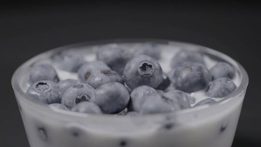 蓝莓酸奶LOG