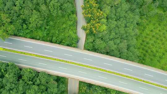 航拍森林里公路上行驶的车辆