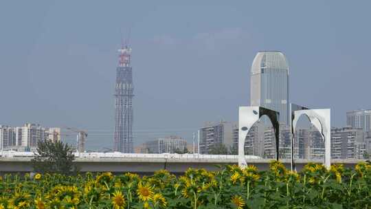 成都有花田前景的高铁道路与城市