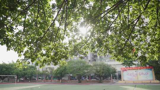 校园生活 阳光操场 教师节 毕业季