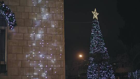 闪烁灯装扮的圣诞树视频素材模板下载