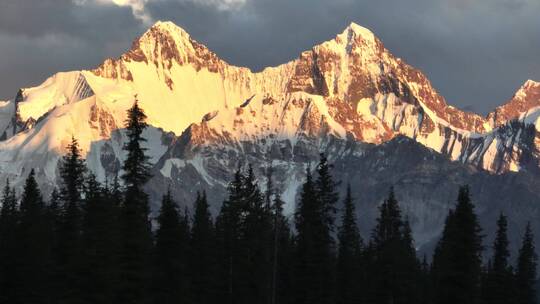 夏塔雪山森林风光长焦航拍