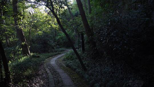 杭州宝石山景区佛石岩