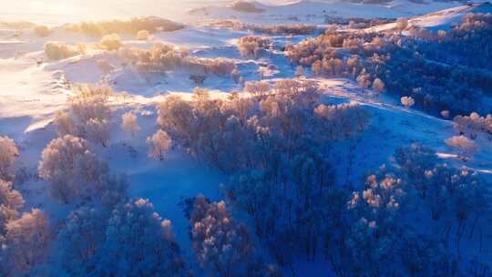 冬季乌兰布统绝美雾凇雪林雪景