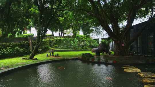 雨中庭园树木池塘