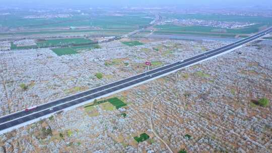 航拍枣庄刘村梨园高速公路的梨花大道