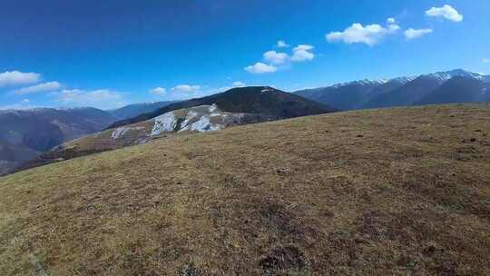 辽阔的高山草甸与远处的雪山景色