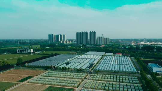 连栋温室大棚 蔬菜大棚 育苗大棚 智能温室