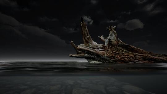 海上的倒塌的大树动画背景
