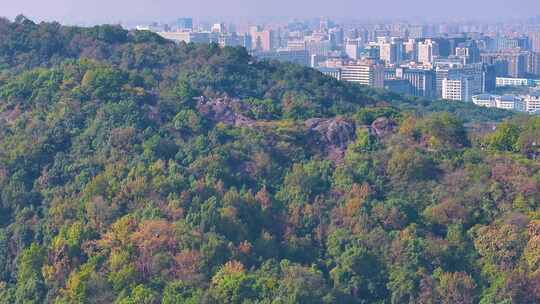 浙江杭州西湖景区宝石山保俶塔航拍北山街素