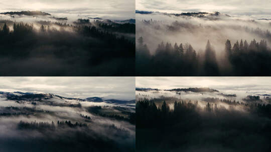 航拍云雾森林云海平流雾日出丁达尔光