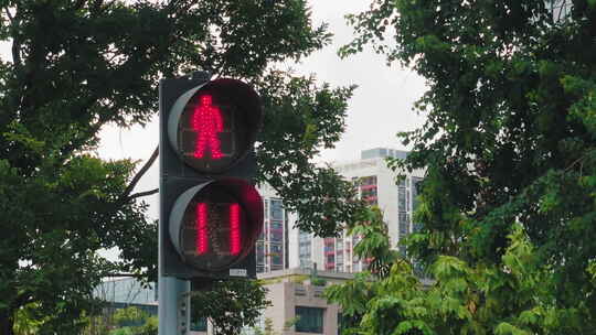【4K】红绿灯与人行道红绿灯