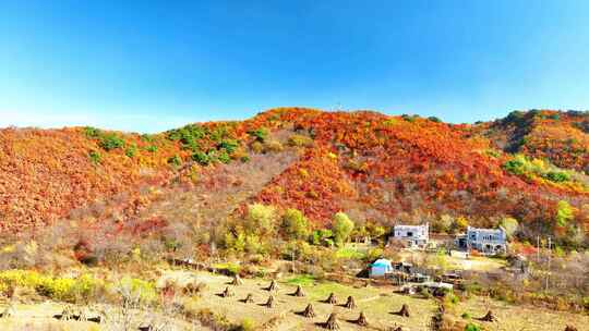 航拍色彩缤纷的辽宁千山秋景