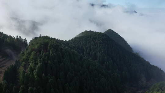 江西某地航拍大山森林云海大远景