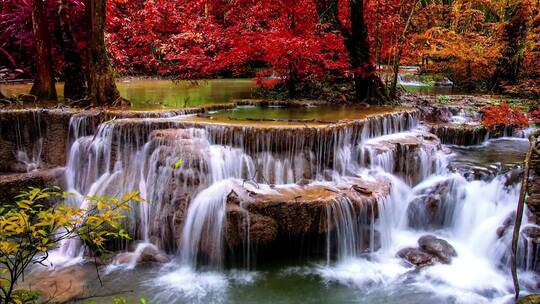 唯美大自然风光红色森林中的溪流瀑布