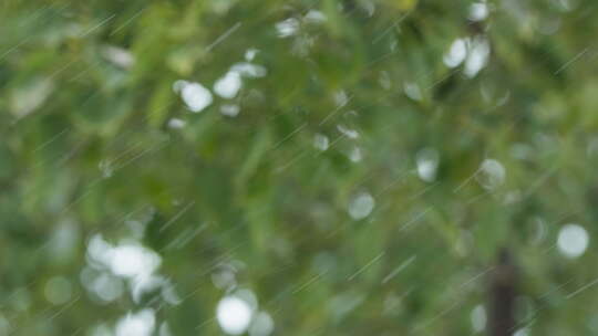 阴天下雨毛毛雨蒙蒙细雨滴特写