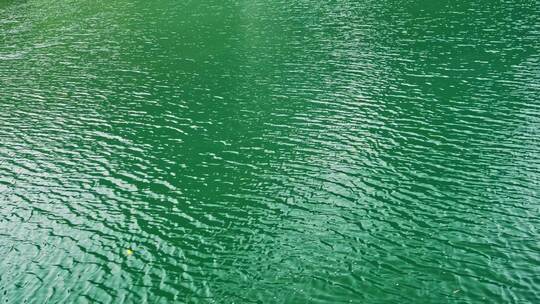 江河碧绿水面