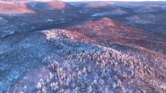 航拍大兴安岭林海雪原雾凇暮色