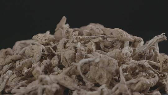 干滑子蘑干蘑菇LOG视频素材