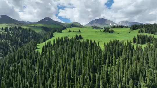 新疆伊犁独库公路草原树林河流雪山天山