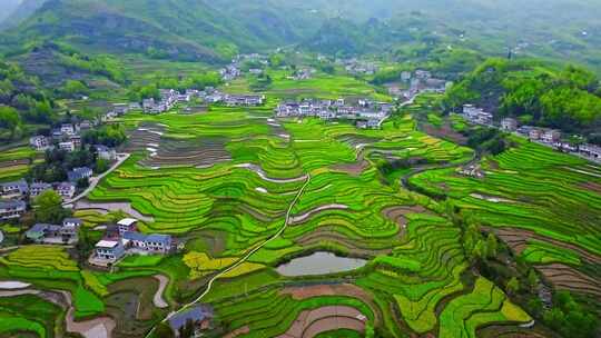 陕西汉阴凤堰古梯田