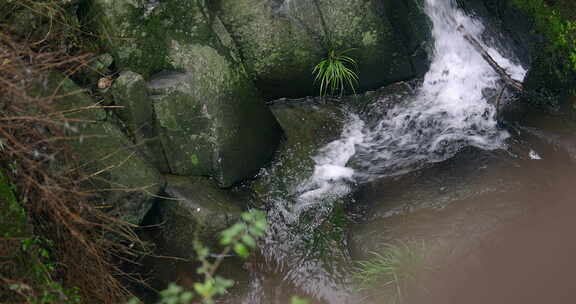 大自然 山野 小溪 山泉