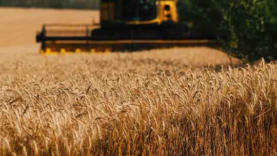 农业机械收割麦子