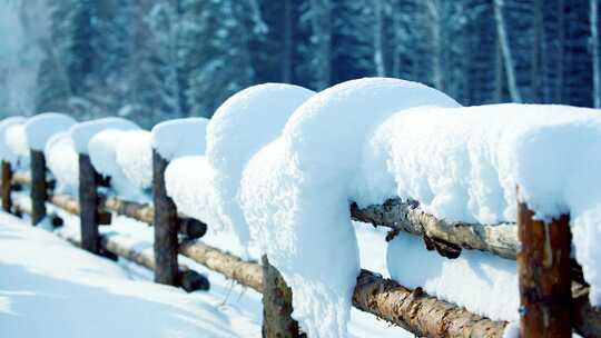 禾木栅栏冬天大雪雪后阳光