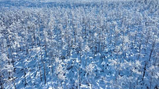 大兴安岭雪景冬季自然风光雾凇雪景寒冬美景