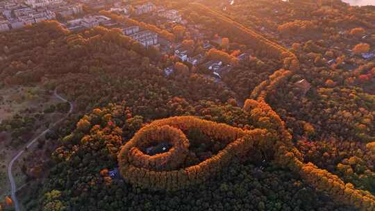 南京美龄宫秋景航拍