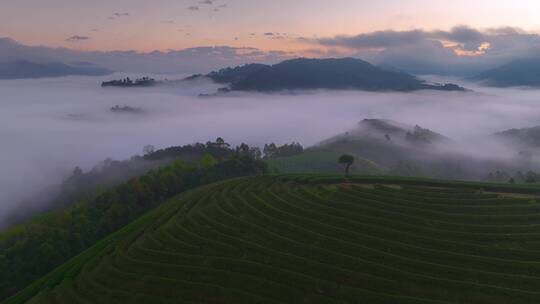 茶山云海日出