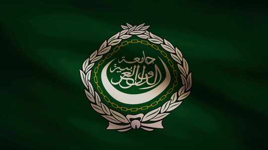 阿拉伯联盟挥舞旗帜