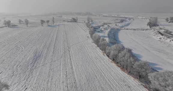 冬日雾霭笼罩下的广阔雪地景象