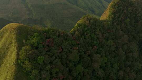 鸟瞰郁郁葱葱的火山景观，印度尼西亚伊纳里