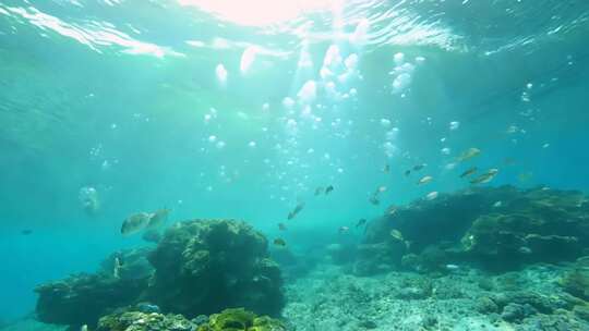 4k梦幻海底光芒