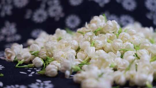 升格慢动作微距特写茉莉花与茉莉花茶制作