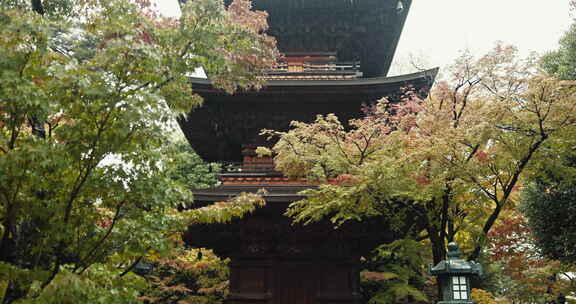 神道寺庙、树木和室外景观、雨水或低角度建