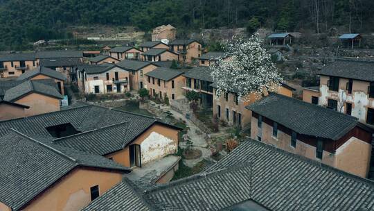 义乌赤岸杨盆栖隐大安旅居小镇风光航拍合集