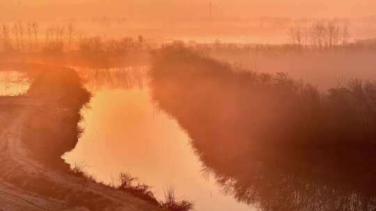 航拍清晨日出树林朝阳河流日光晨雾视频素材模板下载