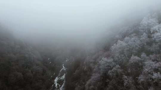 四川阿坝九寨沟县黄土梁隧道杜鹃山冬日