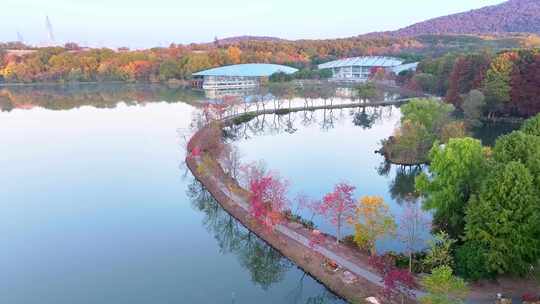 南京秋天 前湖公园 秋天 植物博物馆