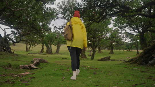 一个戴着黄色夹克帽子和背包的旅行者在天堂